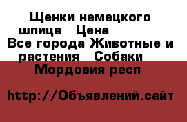 Щенки немецкого шпица › Цена ­ 20 000 - Все города Животные и растения » Собаки   . Мордовия респ.